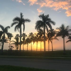 Meet your Posher, Lenin